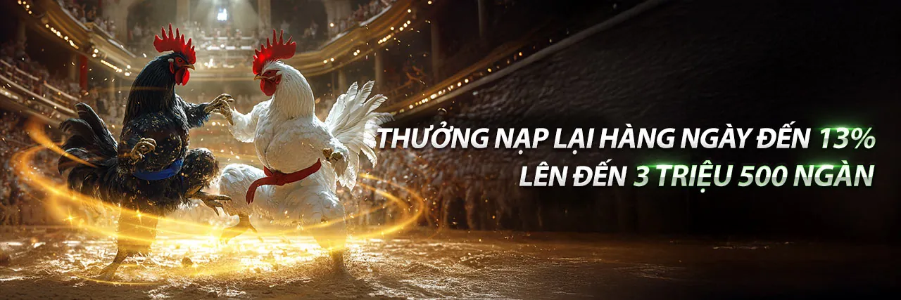 Đá gà trực tuyến kịch tính tại BJ3888 Link Mới