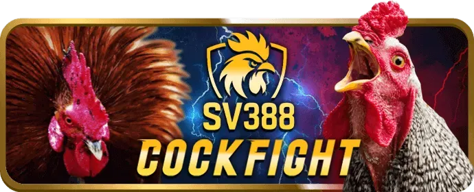 Các chương trình khuyến mãi bj3888 link mới